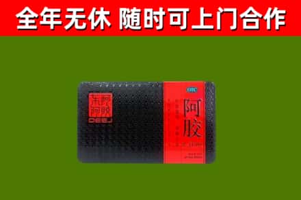 西林回收阿胶
