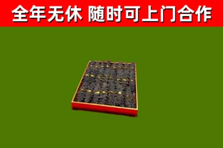 西林回收海参